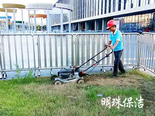 綠化養(yǎng)護4